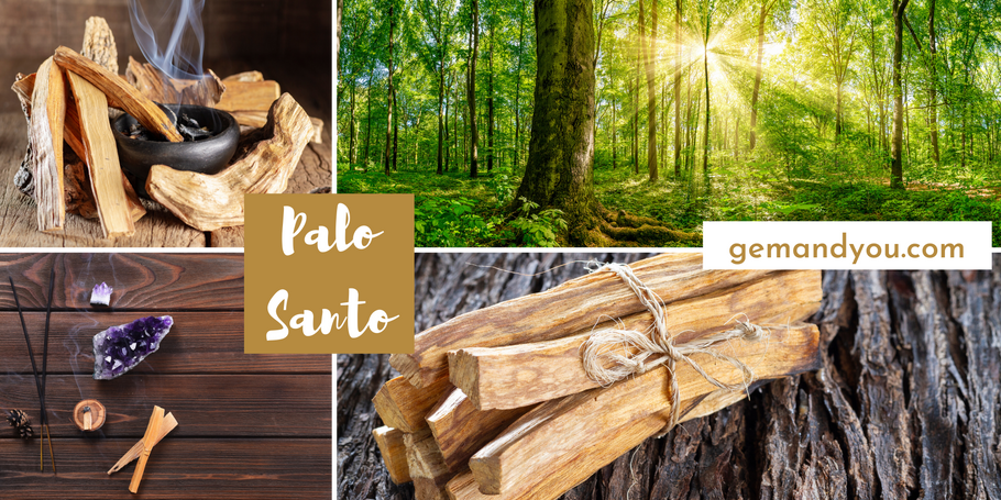 Palo Santo Benefits